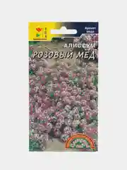 Алиссум Розовый мед, семена, цветы
