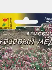 Алиссум Розовый мед, семена, цветы