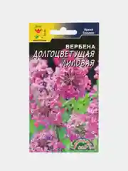 Вербена Долгоцветущая лиловая, семена, цветы
