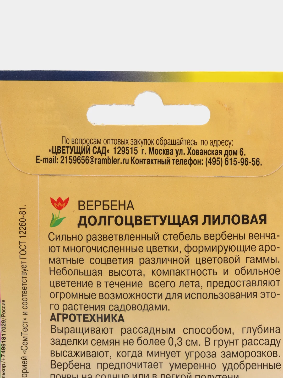 Вербена Долгоцветущая лиловая, семена, цветы