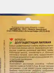 Вербена Долгоцветущая лиловая, семена, цветы