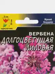 Вербена Долгоцветущая лиловая, семена, цветы