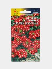 Вербена гибридная Красная шапочка, семена, цветы
