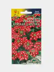 Вербена гибридная Красная шапочка, семена, цветы