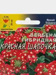 Вербена гибридная Красная шапочка, семена, цветы