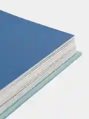 Удивительный волшебник из страны ОЗ. Любимая детская классика