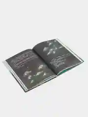 Русалочка из Зеленого моря. Том 1