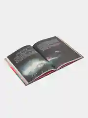 Русалочка из Зеленого моря. Мейя спасает дельфина. Том 2