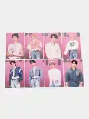 Конфетный карточки K-Pop Stray Kids, MAXIDENT