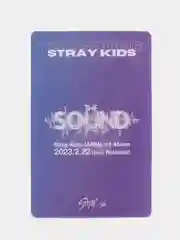 Разноцветный карточки K-POP Stray Kids THE SOUND
