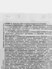 Средство от вредителей, муравьев, почвенных мушек "Гром-2"