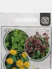 Набор семян для чая, семена