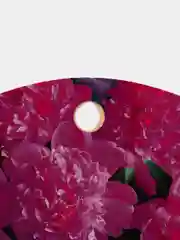 Вишнёвый доска разделочная, деревянная