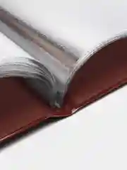 Меню для кафе, папка с 10 файлами, 220 х 320 мм, коричневая, дпс, 231128