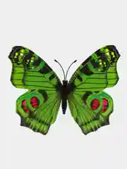 Зеленый наклейки на стену, для декора дома, интерьерные, бабочки 3D, 4 цвета