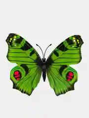 Зеленый наклейки на стену, для декора дома, интерьерные, бабочки 3D, 4 цвета
