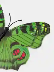 Зеленый наклейки на стену, для декора дома, интерьерные, бабочки 3D, 4 цвета