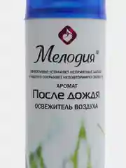 Освежитель воздуха аэрозольный 300 мл Мелодия После Дождя, 601905