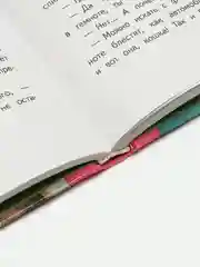 Маленькая ведьмочка Флора. Большой колдовской ураган