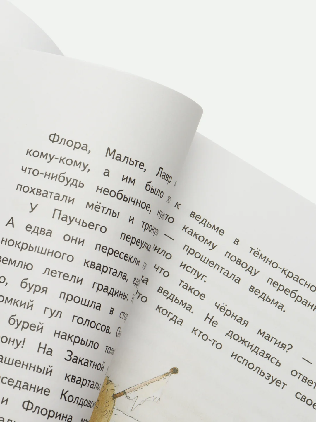 Маленькая ведьмочка Флора. Большой колдовской ураган