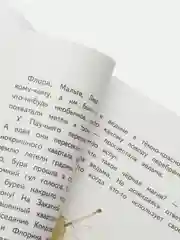 Маленькая ведьмочка Флора. Большой колдовской ураган