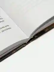 Грифоны. Возвращение грифонов