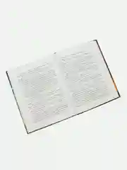 Грифоны. Возвращение грифонов
