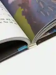 Тайна старого чердака