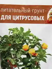 Готовый грунт для цитрусовых" 5 литров, Царица цветов