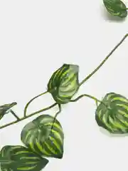 Лесной зеленый искусственная лиана декоративная, для украшения интерьера