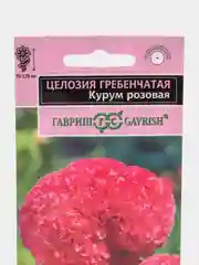 Целозия Курум розовая гребенчатая (семена,цветы)
