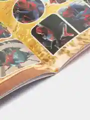 Багровый раскраски с наклейками, для девочек, мальчиков, А4