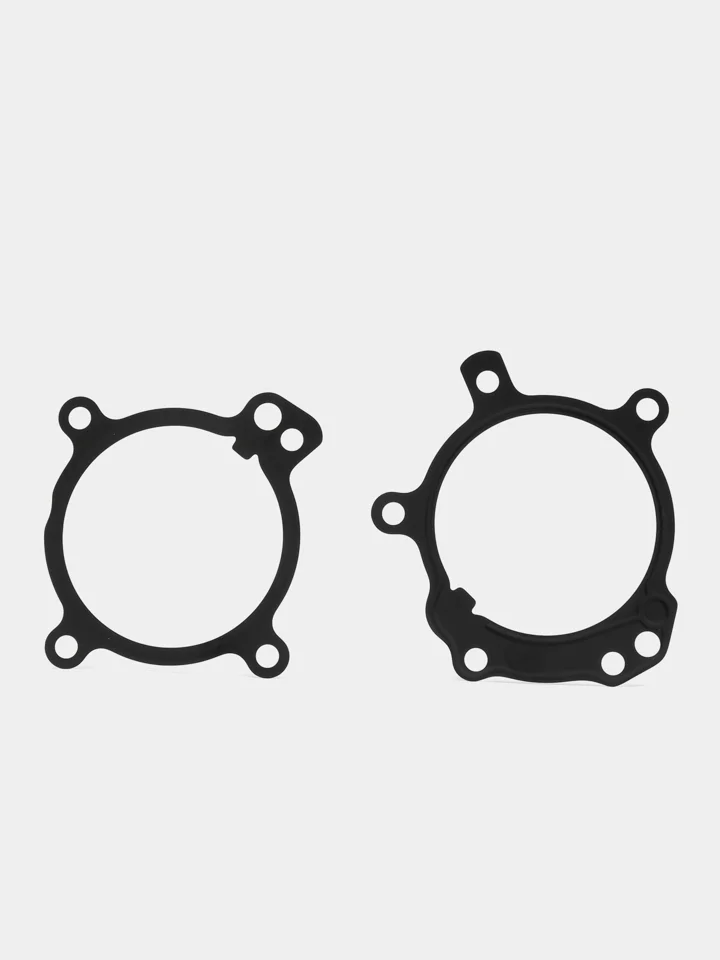 Комплект для ремонта двойного Vanos (Double Vanos) BMW M52TU, M54, M56 11361440142