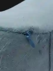 Серый меланж подушка для шеи с эффектом памяти комплект, маска и беруши