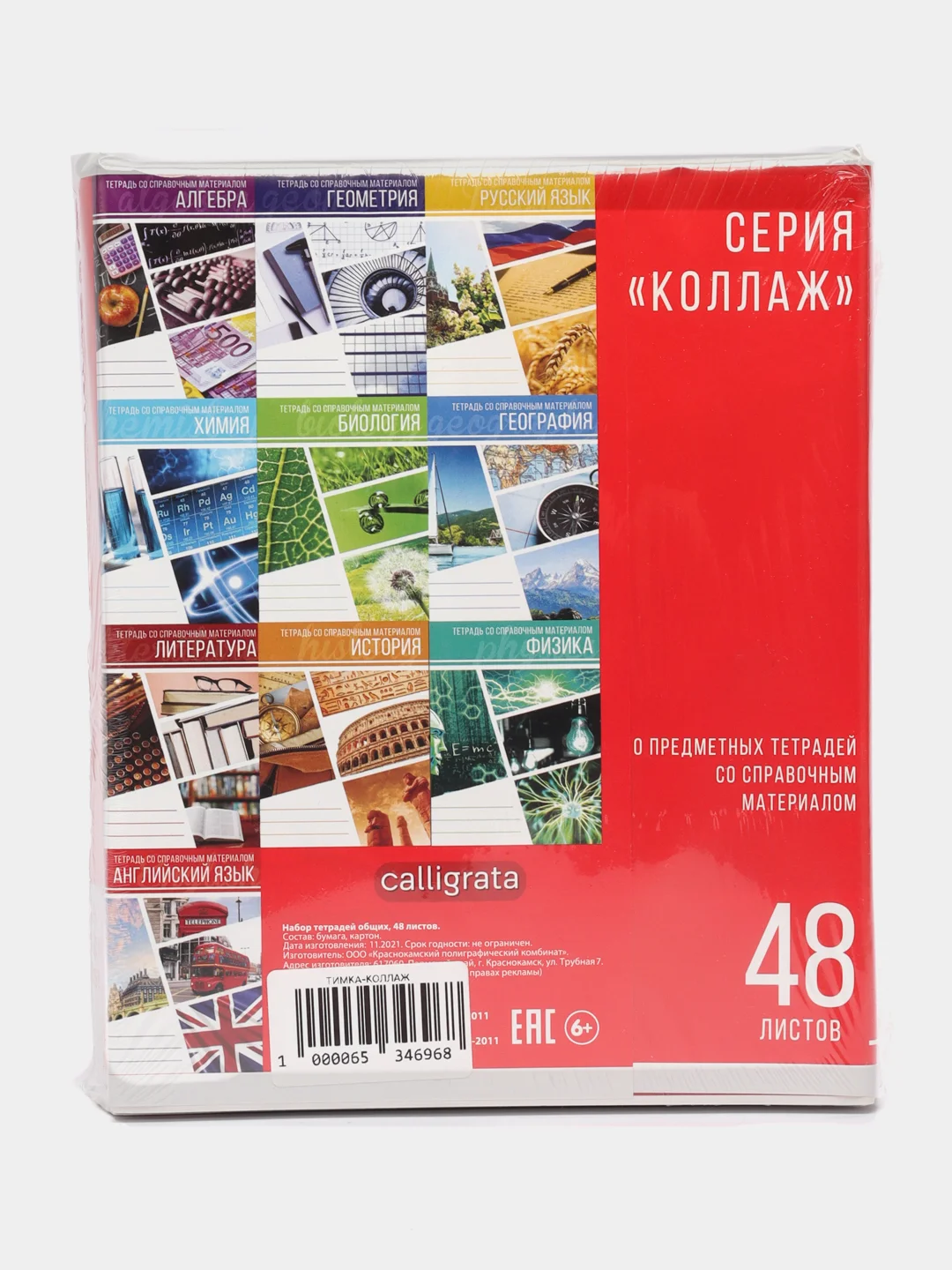 Комплект предметных тетрадей, 48 листов, 10 предметов, со справочным материалом