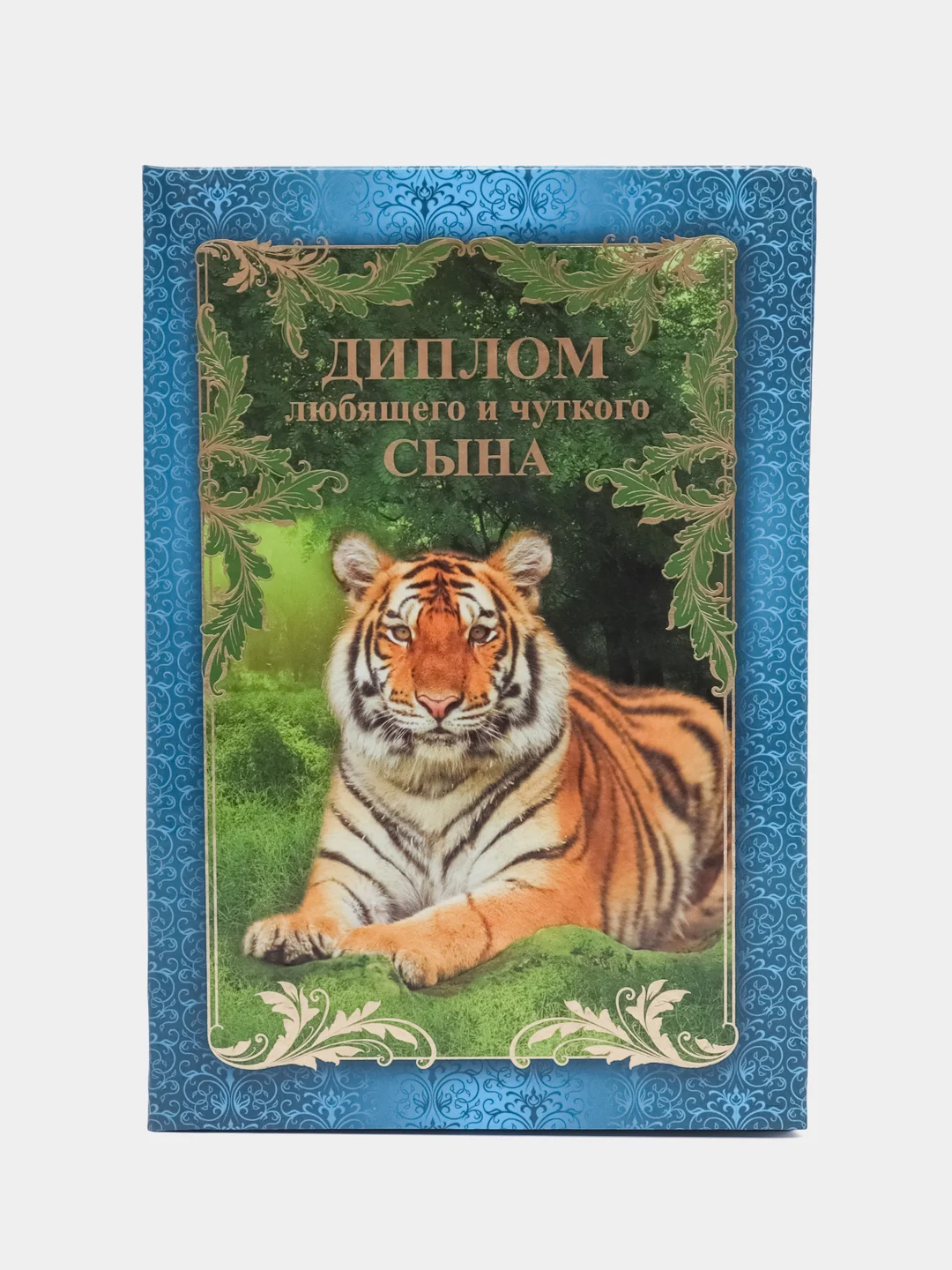 Синий диплом сына