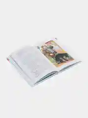 Алый и другие рассказы, Ю. И. Коваль, Самовар, серия Школьная Библиотека