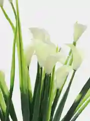 Белый искусственные цветы, каллы, лилия