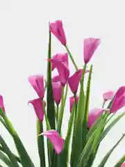 Фиолетовый искусственные цветы, каллы, лилия