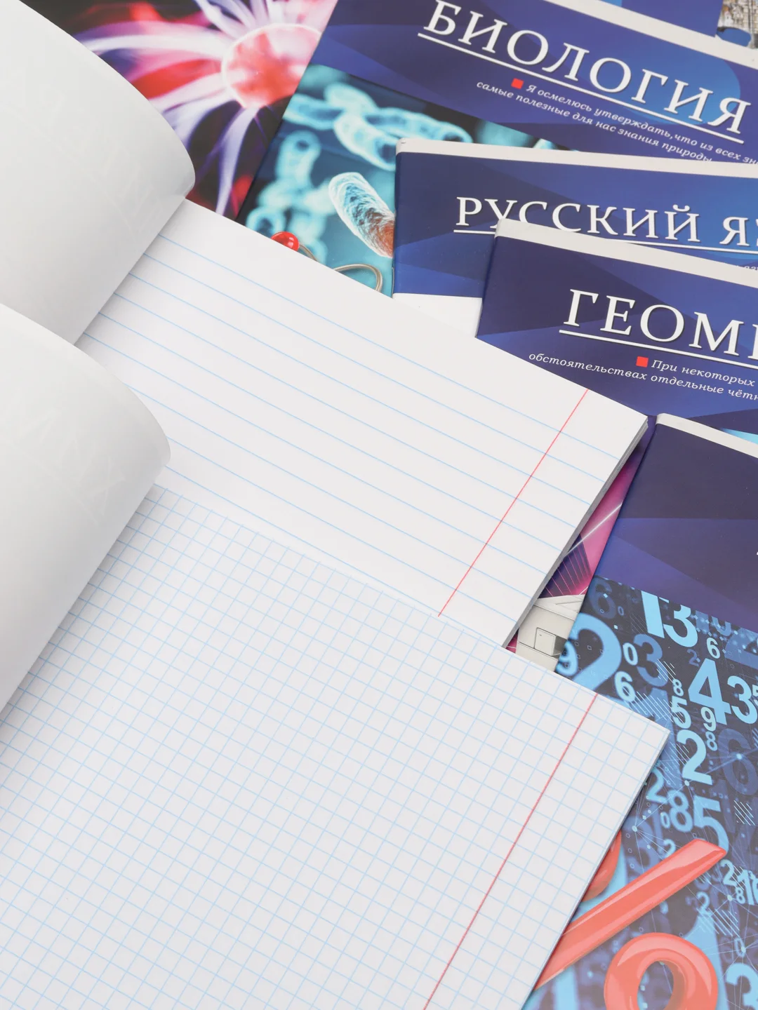 Тетради предметные, со справочным материалом, набор 11 штук, 48 листов