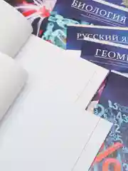 Тетради предметные, со справочным материалом, набор 11 штук, 48 листов