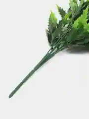 Зеленый полисциас кустарниковый, искусственные цветы