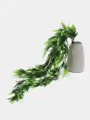 Зеленый полисциас кустарниковый, искусственные цветы