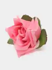 Розовый головы цветов