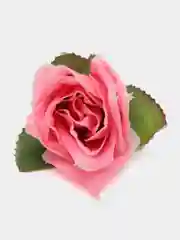 Розовый головы цветов