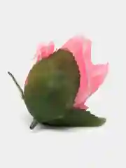 Розовый головы цветов
