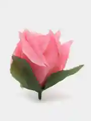 Розовый головы цветов
