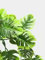 Зеленый искусственные цветы, монстера привлекательная