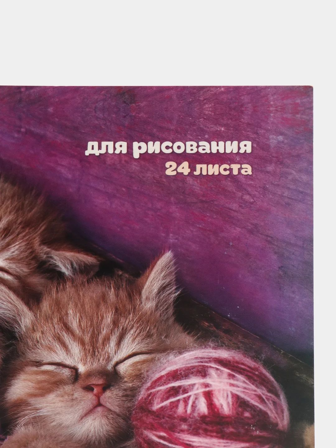 Альбом для рисования А5, 24 листа на скрепке "Милые котята"