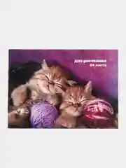 Альбом для рисования А5, 24 листа на скрепке "Милые котята"